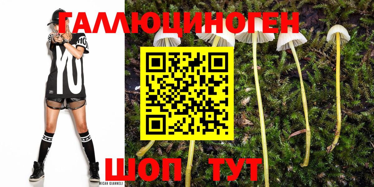 Галлюциногенные грибы мухоморы Кузнецк